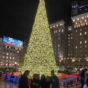 Meet your Posher, Angelina/lina